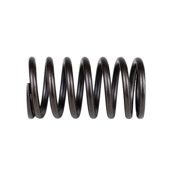 Spring of Rotor Sauer-Danfoss PV45, KRR045, KRL045, BRL28 SKS