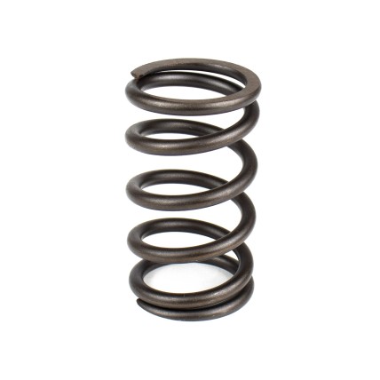 Spring of Rotor Sauer-Danfoss H1P069, H1P078 SKS