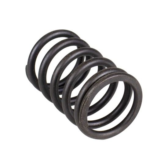 Spring of Rotor Sauer-Danfoss MPV45 SKS