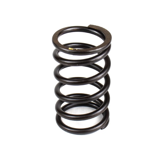 Spring of Rotor Sauer-Danfoss MPV035, MPT035, MMF035, MMV035, MPV044, MPT044, MMF044, MMV044 SKS Spring of Rotor Sauer-Danfoss MPV035, MPT035, MMF035, MMV035, MPV044, MPT044, MMF044, MMV044 SKS