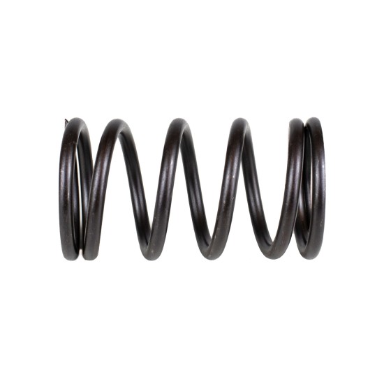 Spring of Rotor Sauer-Danfoss 1743311 SKS