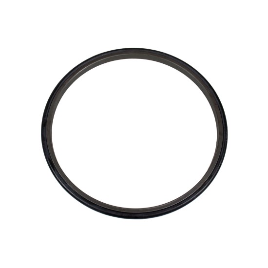 Floating Seal Bosch Rexroth R913020292 black AFM
