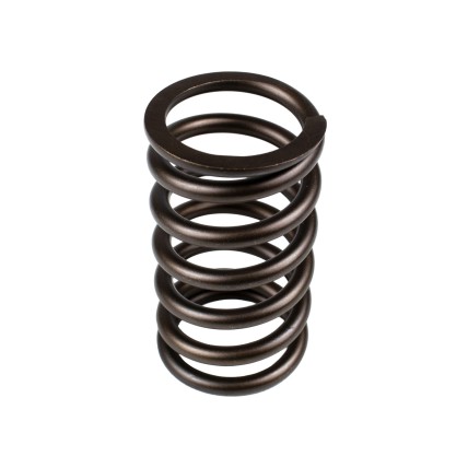 Spring of Rotor Sauer-Danfoss FRR074, FRL074 SKS