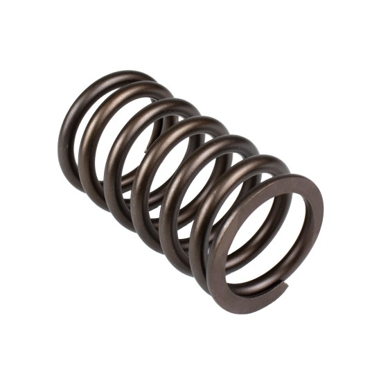 Spring of Rotor Sauer-Danfoss FRR074, FRL074 SKS