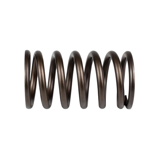 Spring of Rotor Sauer-Danfoss FRR074, FRL074 SKS