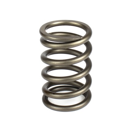 Spring of Rotor Sauer-Danfoss H1P147, H1P165 SKS