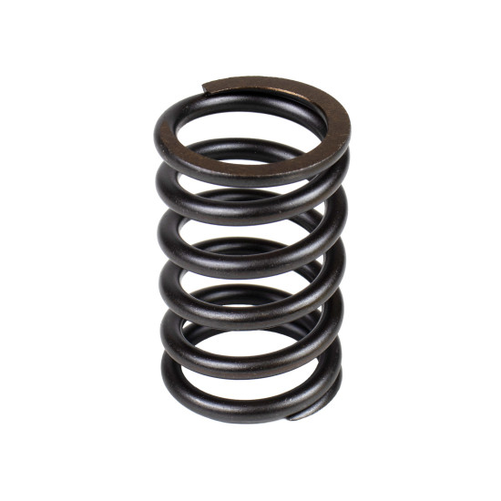 Spring of Rotor Bosch Rexroth A10V43 SKS Spring of Rotor Bosch Rexroth A10V43 SKS