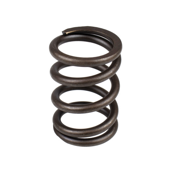 Spring of Rotor Parker P2105 SKS Spring of Rotor Parker P2105 SKS