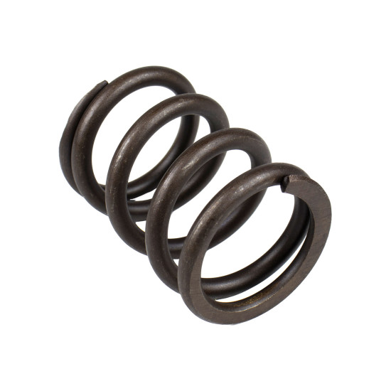 Spring of Rotor Parker P2105 SKS