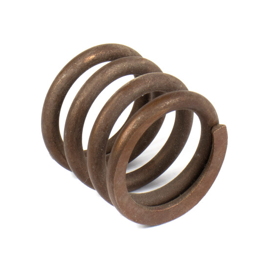 Spring of Rotor Nabtesco GM09 SKS