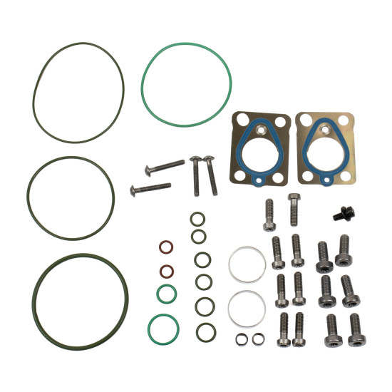 Repair kit of fuel pump 7135-526 Delphi for Delphi 28435244, 28568252, 9422A010A, 9422A011A Genuine Repair kit of fuel pump 7135-526 Delphi for Delphi 28435244, 28568252, 9422A010A, 9422A011A Genuine