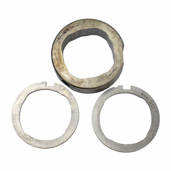 Cam Ring and Scroll Plate 28259958 Delphi for DP210, DP310 Genuine