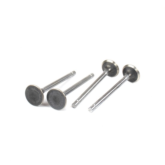Exhaust Valve Isuzu 8980169741 Genuine