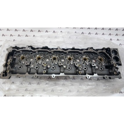 Cylinder Head Isuzu 8976069968 QINGLING