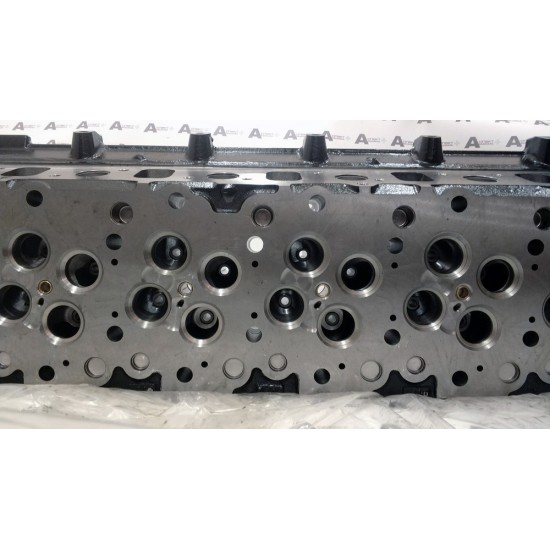 Cylinder Head Isuzu 8976069968 QINGLING