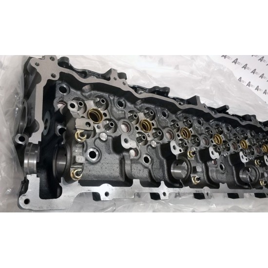 Cylinder Head Isuzu 8976069968 QINGLING