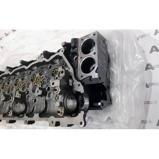 Cylinder Head Isuzu 8976069968 QINGLING