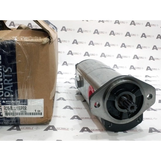 Hydraulic Pump assembly Hyundai 31LB-40300 HYUNDAI Hydraulic Pump assembly Hyundai 31LB-40300 HYUNDAI