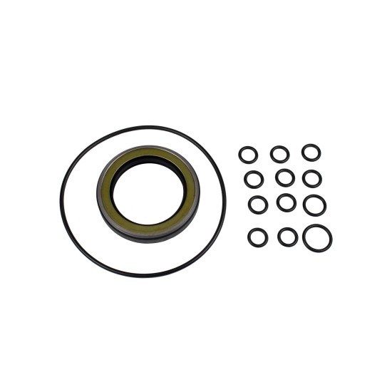 Seal kit pump Hitachi 4471487 AFM Seal kit pump Hitachi 4471487 AFM