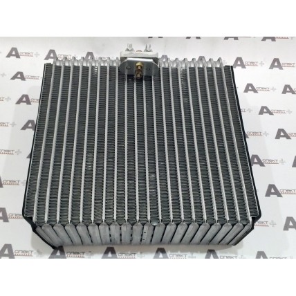 Evaporator Hitachi 4469056 AFM