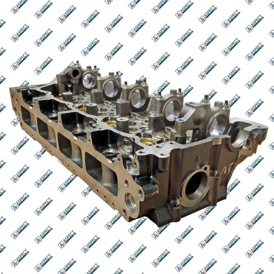 Cylinder Head Isuzu 8981706171 QINGLING
