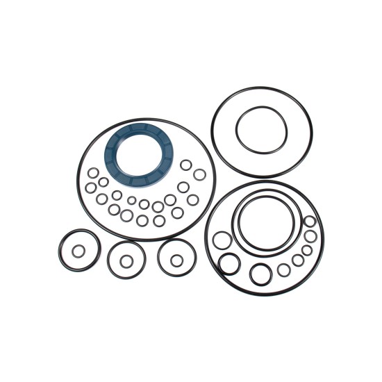 Seal kit pump Bosch Rexroth A8VO107 NOK AFM Seal kit pump Bosch Rexroth A8VO107 NOK AFM