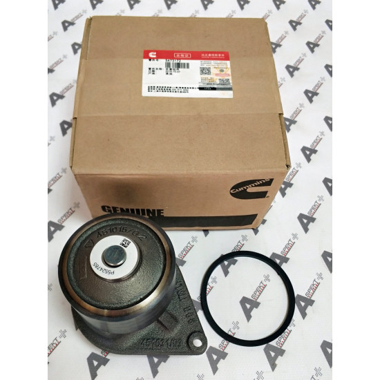 Water Pump Gasket Cummins 5473172 CUMMINS Water Pump Gasket Cummins 5473172 CUMMINS