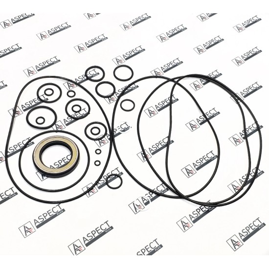 Seal kit motor Kawasaki 0365328 NOK AFM