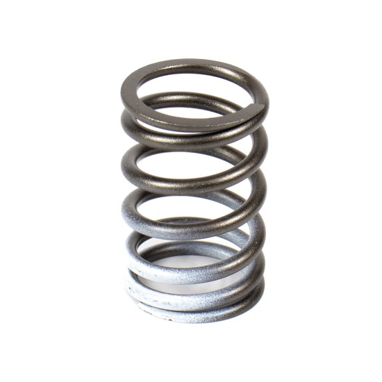 Valve Spring Isuzu 8970346291 Genuine Valve Spring Isuzu 8970346291 Genuine